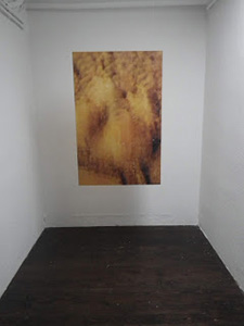 Foto Adriane Steckhan