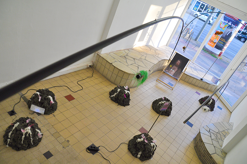 Foto
              Biesemann