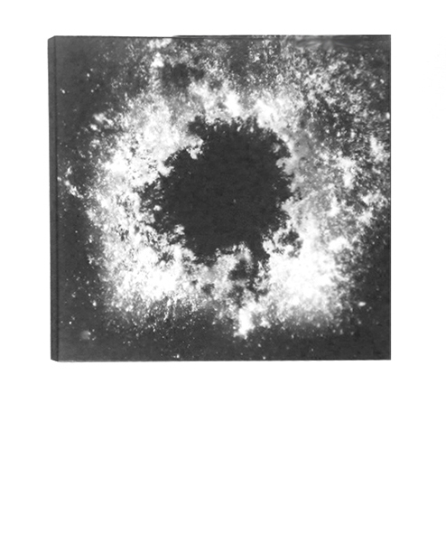 Foto
              Elke Suhr