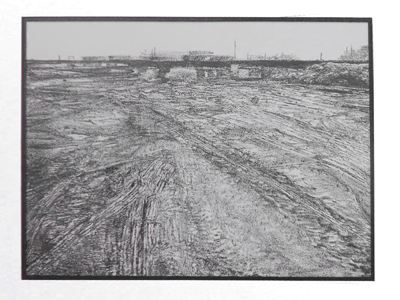 Foto
              Elke Suhr