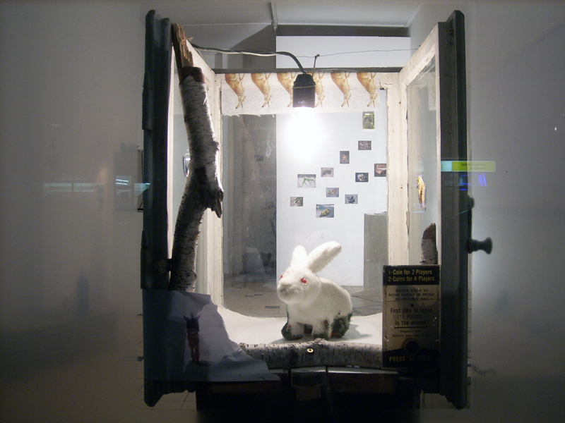 Foto
                    Johannes Lothar Schr�der