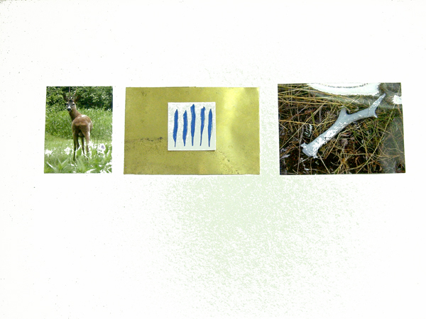 Foto Johannes Lothar Schr�der