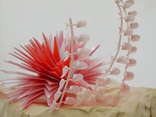 Foto Clara Lena Langenbach