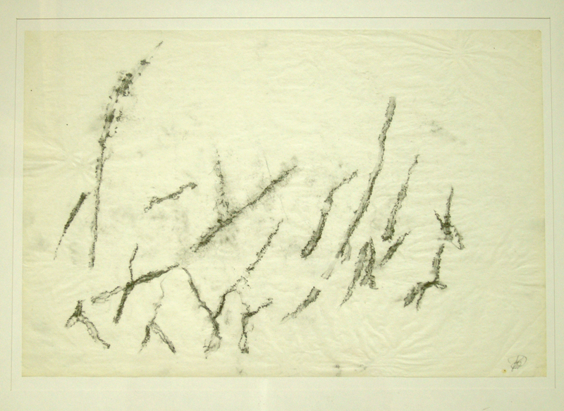 Foto Doris
              Cordes-Vollert