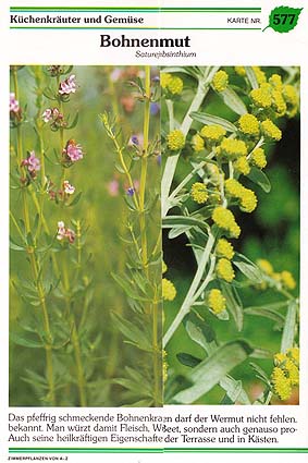 Foto Erdmute Prautzsch