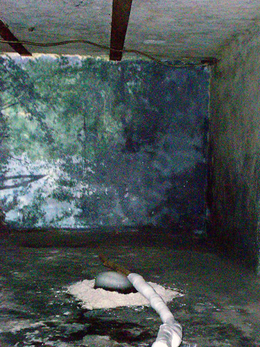 Foto Christina
              Dieckmann