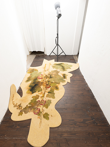 Foto: Magnus
              Meier-Rbke