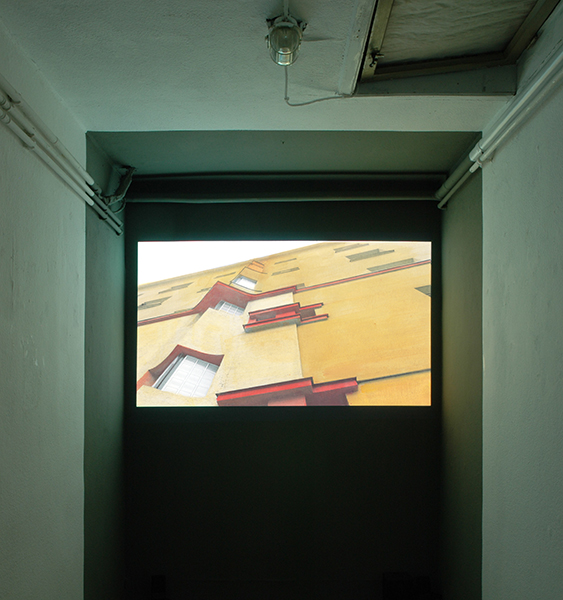 Foto
              Suse Itzel