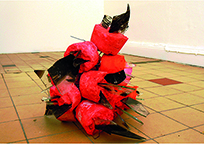 Foto Sigrun
                                  Jakubaschke