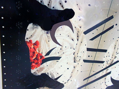 Foto Elke
              Suhr