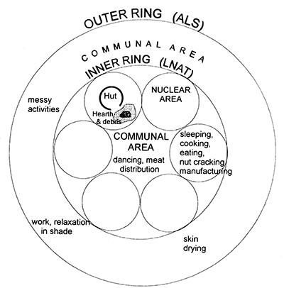 Doku Dr. Thomas J Piesbergen
              2021