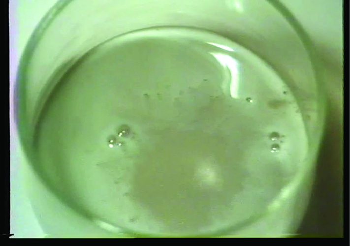 Videostill Annbarbe Kau