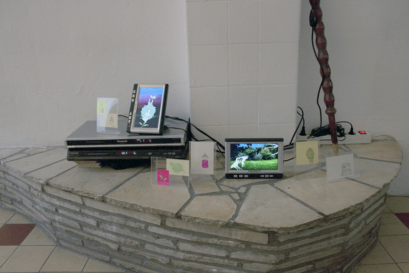 Foto Marte Kiessling