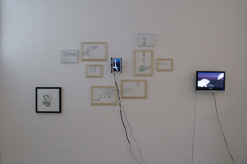 Foto Marte Kiessling