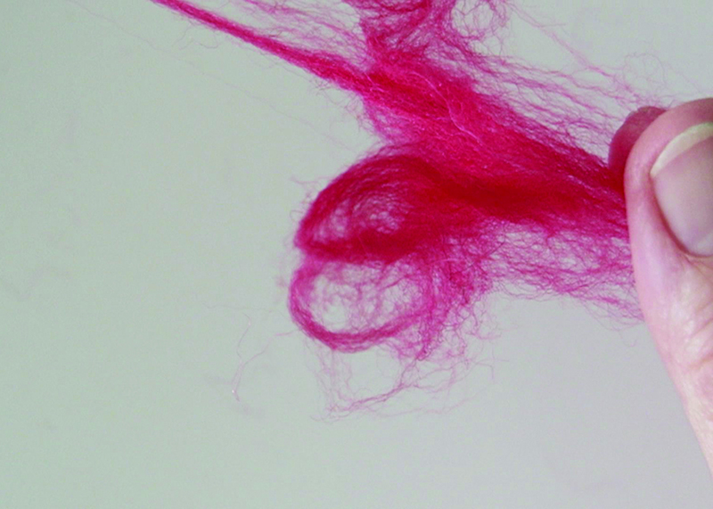 Foto Waltraut Kiessner