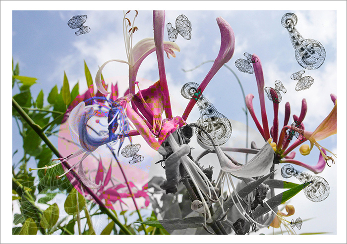 EInladung vorn | Foto Eichhorn