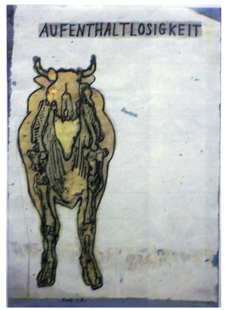 Foto
              Elke Suhr