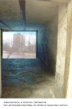 Ingrid Scherr: Videoinstallation