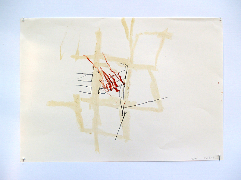 Foto
              Ina Schlafke