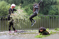 Foto: H. Wommelsdorf