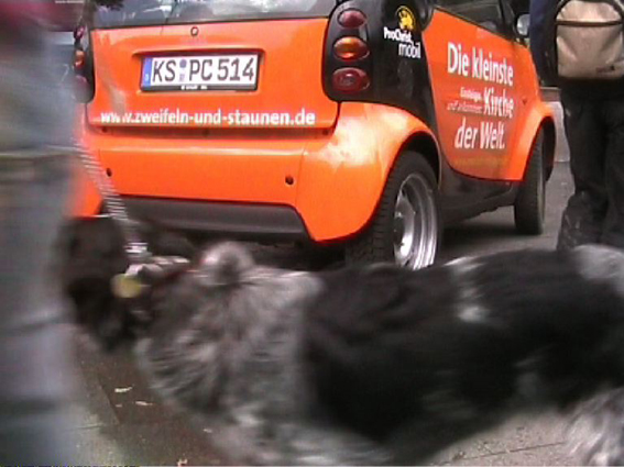 Videostill Zeifelnundstauen.de